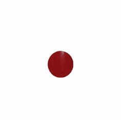 Red, Red Rhine<BR>