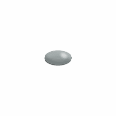 Silver Mountain (F)<BR>