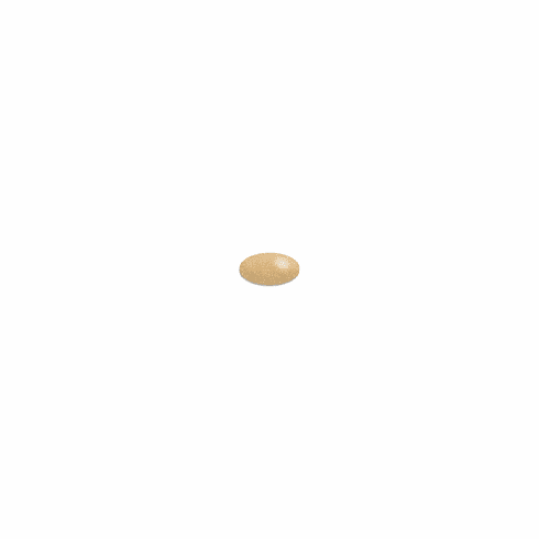 Summit Peach (F)<BR>