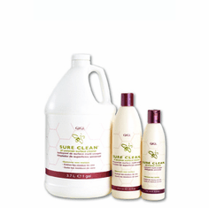 Sure Clean All Purpose - 16 oz.