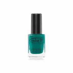 Wild Cactus<BR>