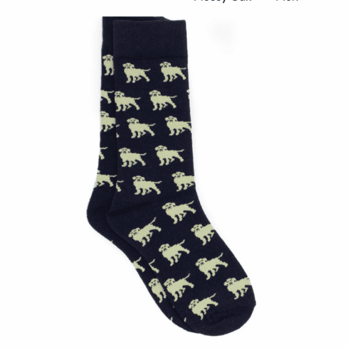 Properly Boys Lucky Duck Golden Retriever Socks.