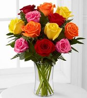 1 Dozen Long Stem Mixed Roses 