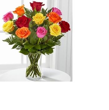 1 Dozen long Stem Mixed Roses