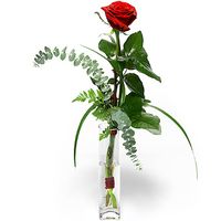 1 Roses