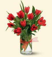 10 Tulips
