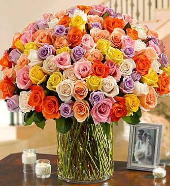100 Multicolored Roses in a Vase