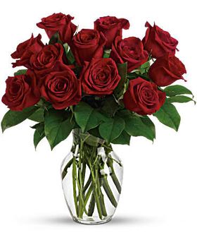 12 Red Roses Valentine