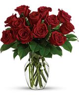 12 Red Roses Valentine 12 Red Roses Valentine
