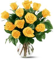12 Yellow Roses 