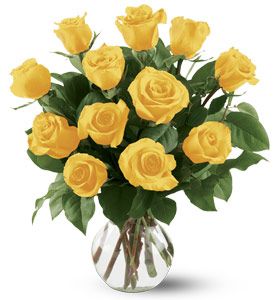 12 Yellow Roses
