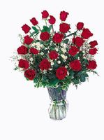 18 red roses 18 red roses