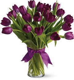 20 Purple Tulips