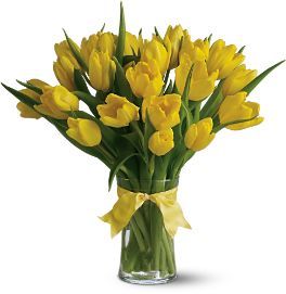20 Yellow Tulips