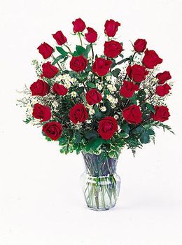 24 red rose bouquet