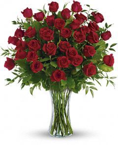 3 Dozen Long Stemmed Roses  Valentine