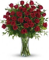 3 Dozen Long Stemmed Roses  Valentine