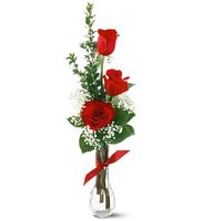 3 Red Roses 
