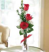 3 Red Roses