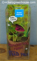 3in Carnivorous Plant