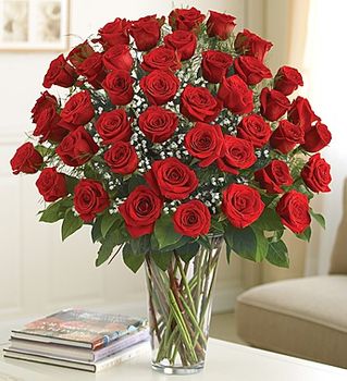 48 Stem Red Roses 4 dozen