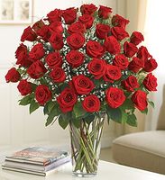 48 Stem Red Roses 4 dozen