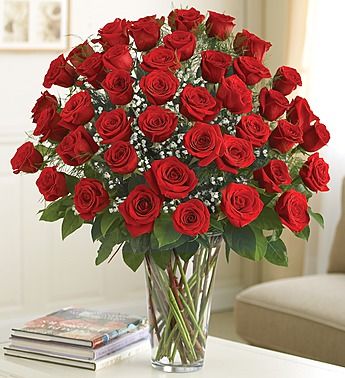 48 Stem Red Roses 4 dozen