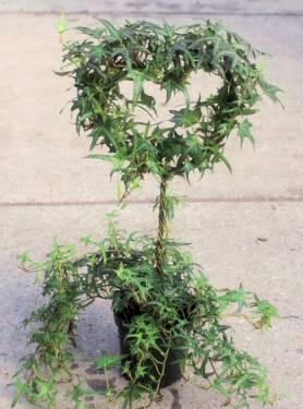 4in Ivy Heart on Stem