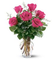 6 Hot Pink Roses