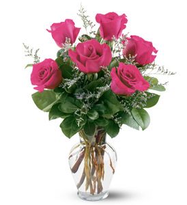 6 Hot Pink Roses