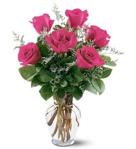 6 Pink Roses 