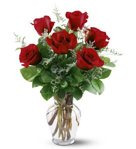 6 Red Roses