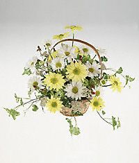 A daisy basket arrangement.