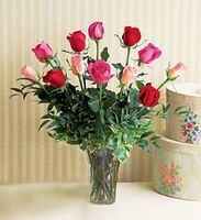 A Dozen Multi-Colored Roses 