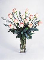 A dozen pink rose