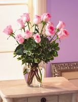 A dozen Pink rose