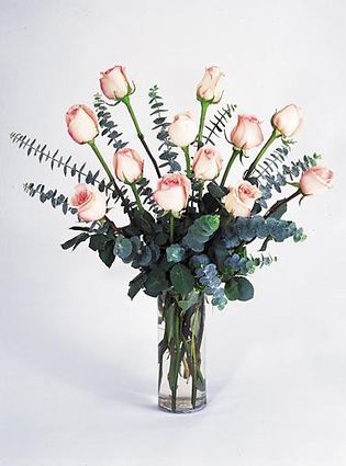 A dozen pink rose