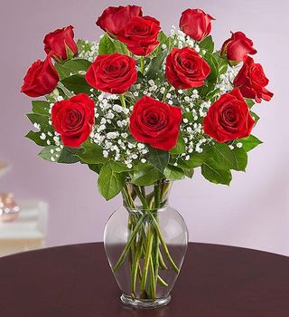 A dozen red rose Back to School 