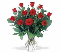 A Dozen red roses 