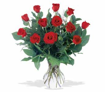 A Dozen red roses 