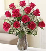 A dozen red roses arranged with baby breath