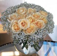 A Dozen White Roses