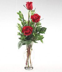 A glass vase of three Red Satin roses Secretaries 