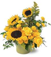 A Pot of Sunflowers A Pot of Sunflowers