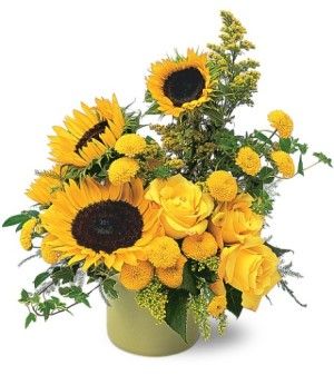 A Pot of Sunflowers