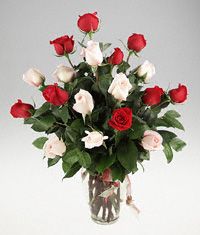 A vase of pink and red roses.