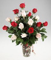 A vase of pink and red roses.