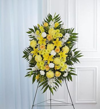 All Occasions flower dallas