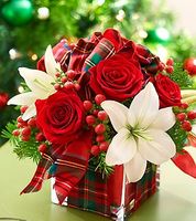 All Wrapped Up for the Holidays