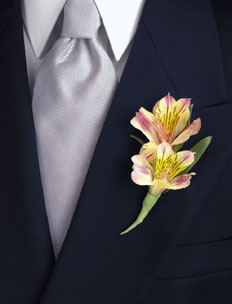 Alstroemeria Boutonniere